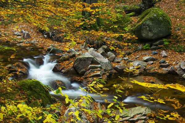 Autumnal Ilse Valley in the Harz Mountains