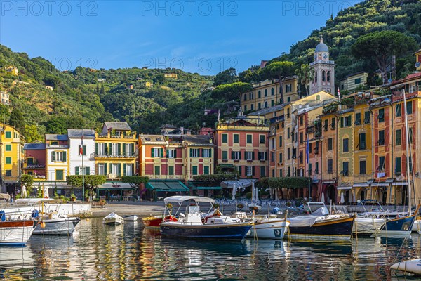 Boats anchor in Portofino harbour in front of pastel-coloured house facades