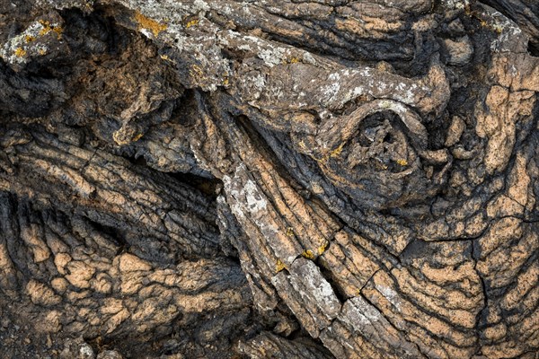 Pahoehoe lava