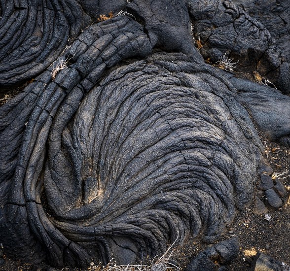 Pahoehoe lava