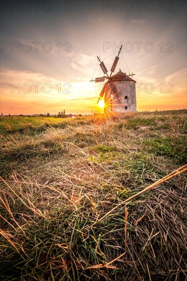 The Old Windmill of Tes in the sunset with guests