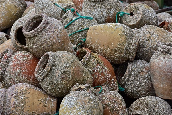 Clay jars filled with seaweed for lobster fishing