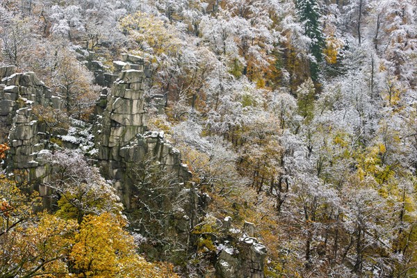 First snow on the autumnal slopes of the Bode Valley in the Harz Mountains