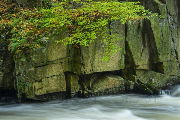 River Bode in the autumnal Harz Mountains