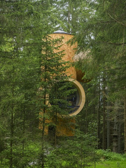 Modern forest house on the Pogusch