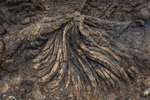 Pahoehoe lava