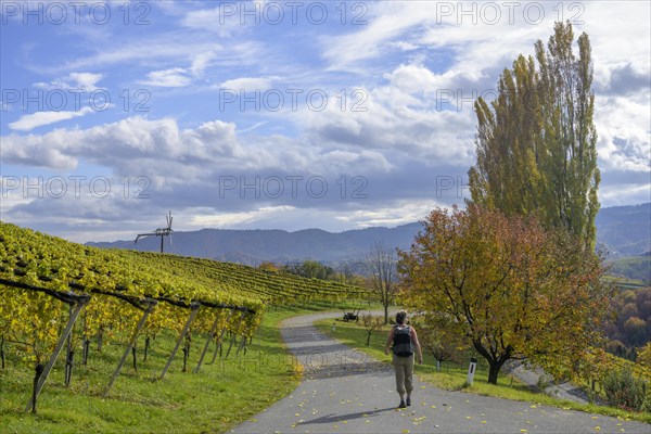 Hiker walking on side road towards Klapotetz