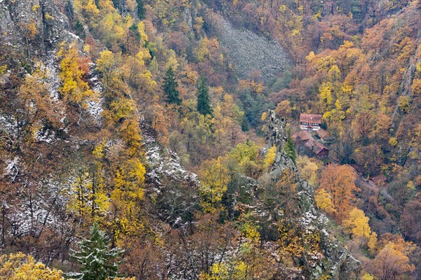 First snow on the autumnal slopes of the Bode Valley in the Harz Mountains