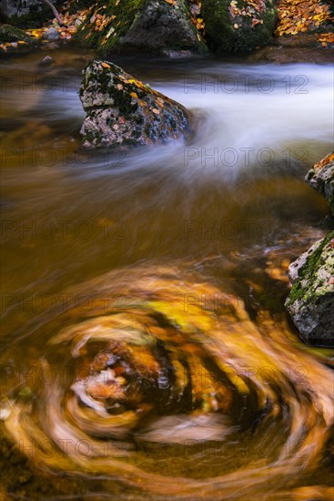 River Bode in the autumnal Harz Mountains