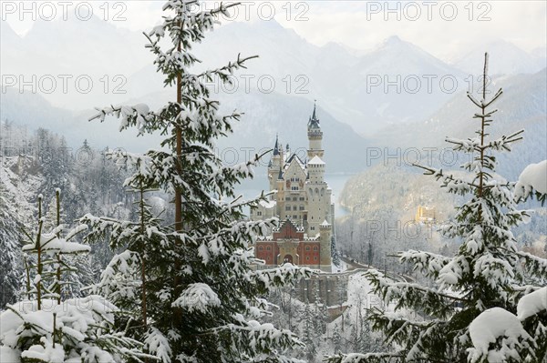 Neuschwanstein Castle