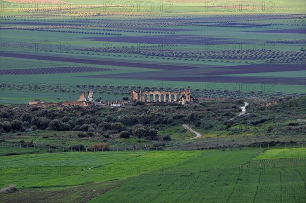 Ancient Roman Ruins Volubilis near Moulay Idriss