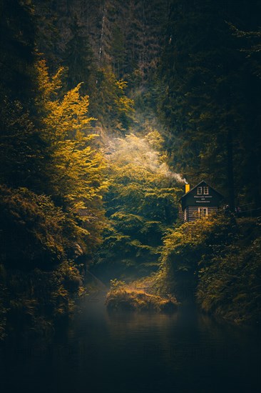 Autumn in the Edmundsklamm gorge with river