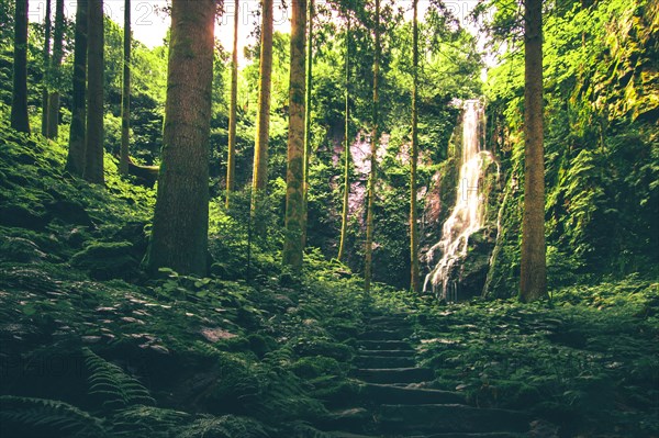 The Burgbach waterfall in the middle of the green forest. Waterfall with stone steps in Schapbach