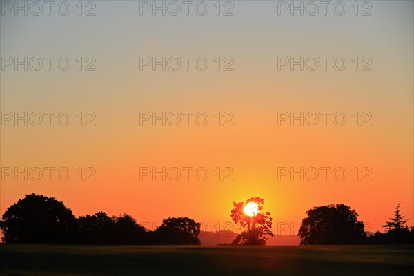 Sunrise over the Huelenbuchen meadows