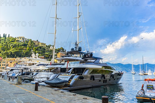 Luxury yachts anchored in Portofino harbour