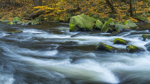 River Bode in the autumnal Harz Mountains