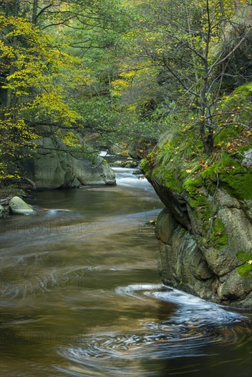 River Bode in the autumnal Harz Mountains