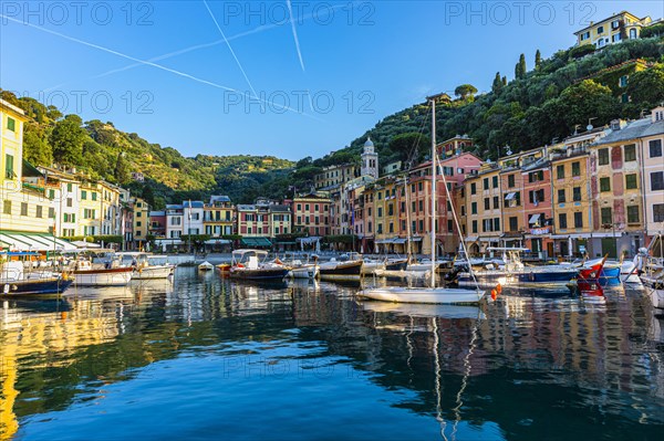 Boats anchor in the harbour of Portofino