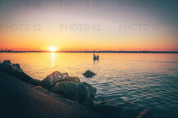 Shore at a lake