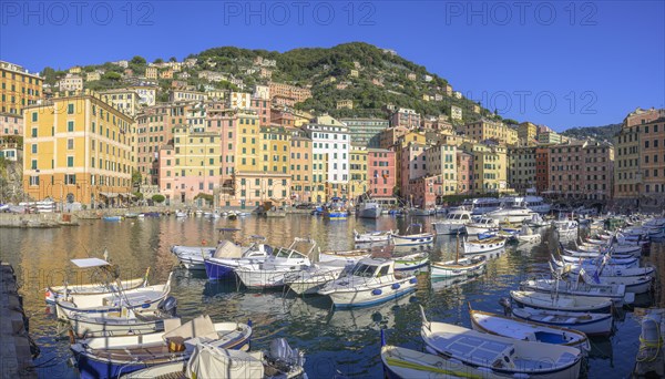 Harbour with fishing boats and historic skyscrapers