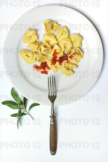 Pasta on plate with fork