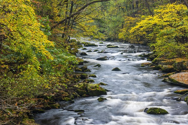 River Bode in the autumnal Harz Mountains