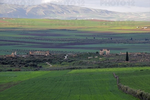 Ancient Roman ruins Volubilis overlooking Rif Mountains near Moulay Idriss