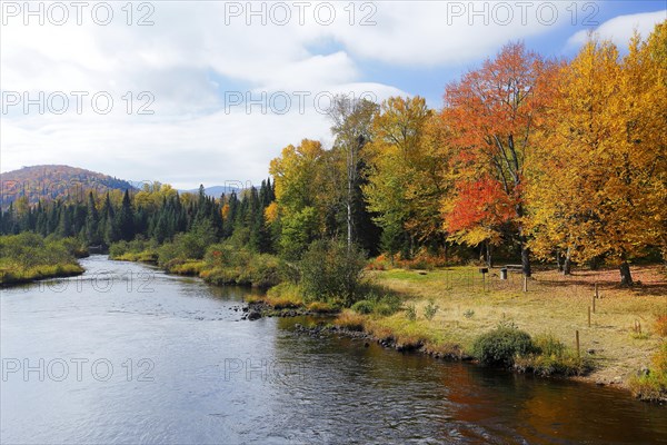 Autumn colours