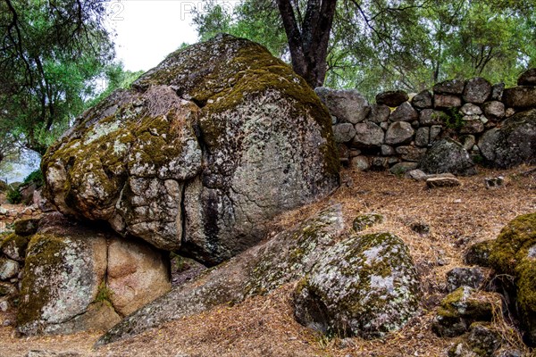 Parts of the ring wall