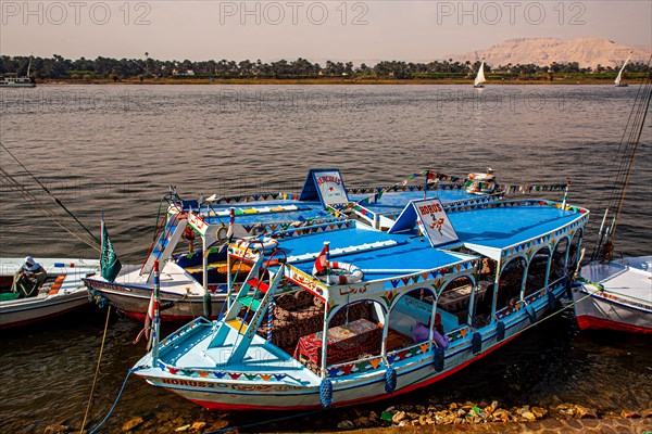 Nile bank with boats