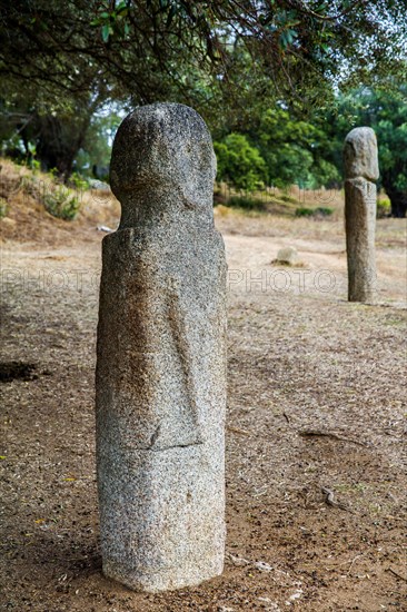 Menhir statues in the plain in front of a 1200 year old olive tree