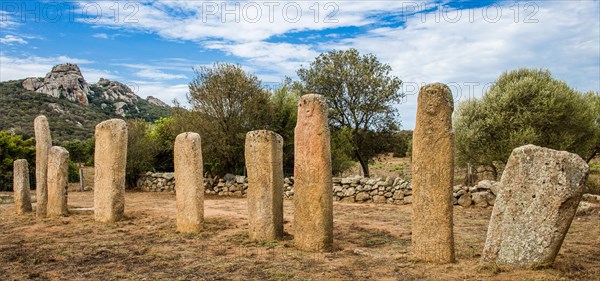 Menhir Statues