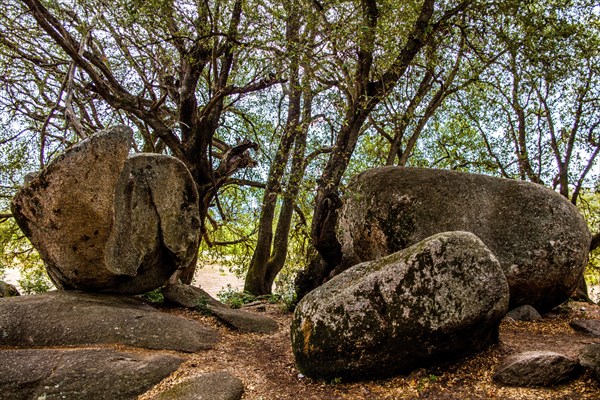 Quarry for the production of the menhir statues