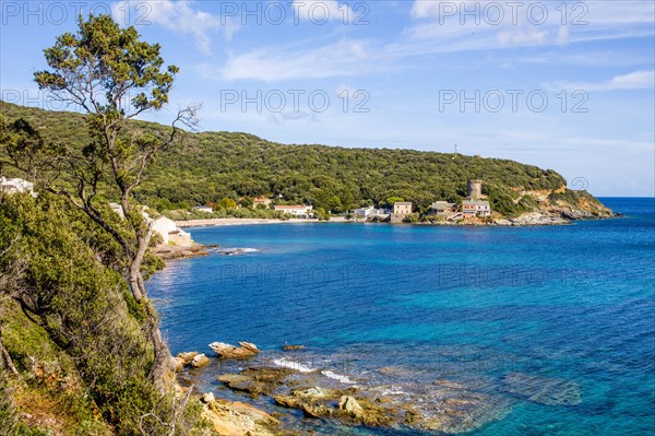 Coast with Genoese Tower