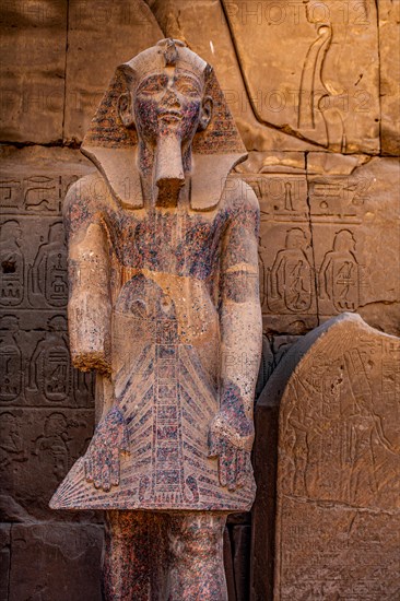 Statues of Thutmosis III Amenhotep II and Pharaohs from the 2nd Intermediate Period