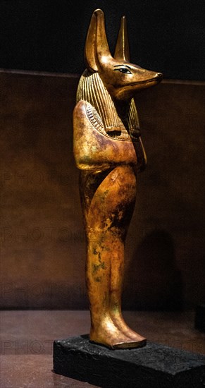 Figure of the jackal-headed god Duamutef