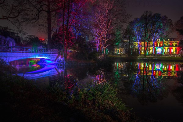 Colourful lights in the Palmengarten Frankfurt