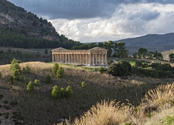 Temple of Segesta