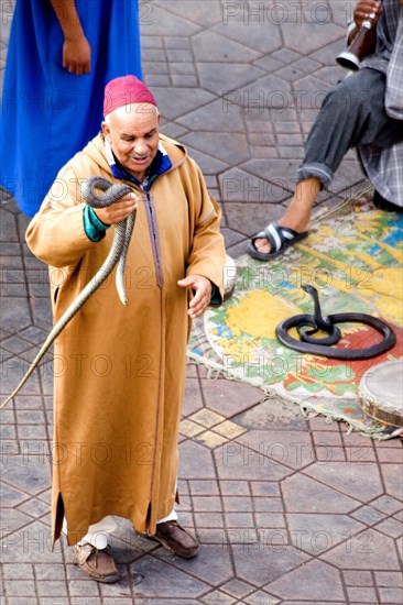 Punching charlatans on the Jemaa El-Fna