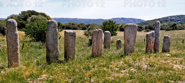 Menhir Statues