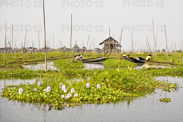 Floating fields