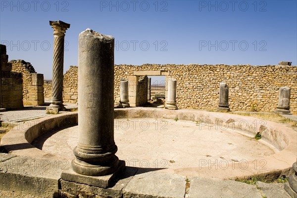 Magnificent complexes at ancient Volubilis