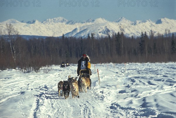 Iditarod Dog Sled Race