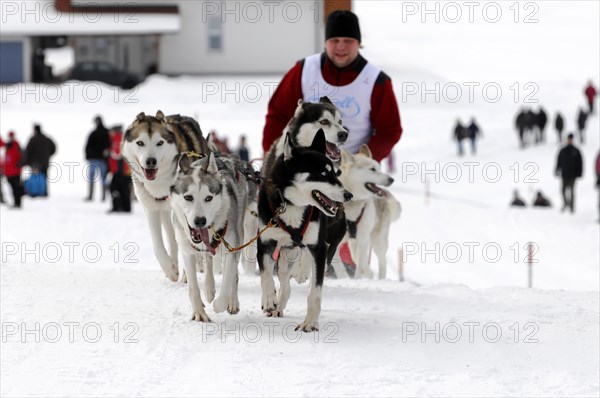 Musher with sled dog team