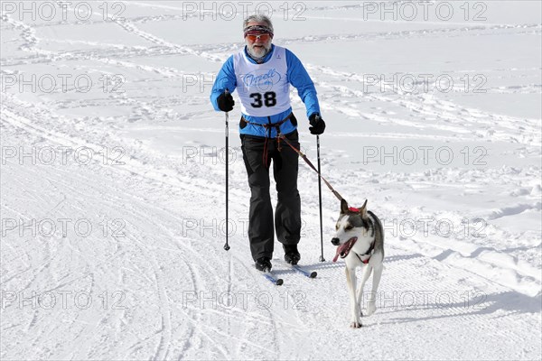 Musher with sled dog team