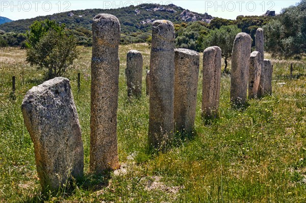 Menhir Statues