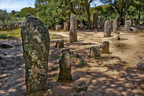 Menhir statues