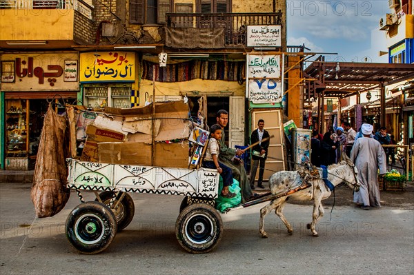 Donkey cart