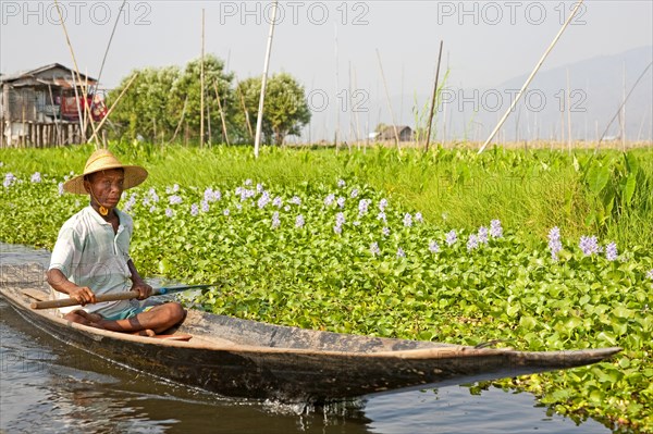 Floating fields