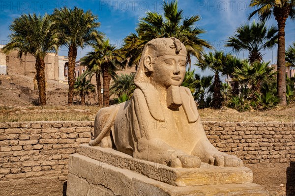 Avenue of the Sphinxes between Luxor Temple and Karank Temple